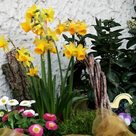 호텔 Gasthaus Kreuz *