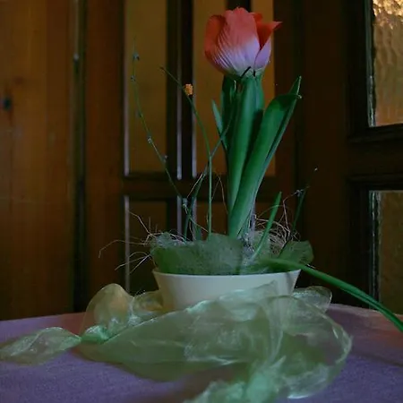 Gasthaus Kreuz 비베라흐